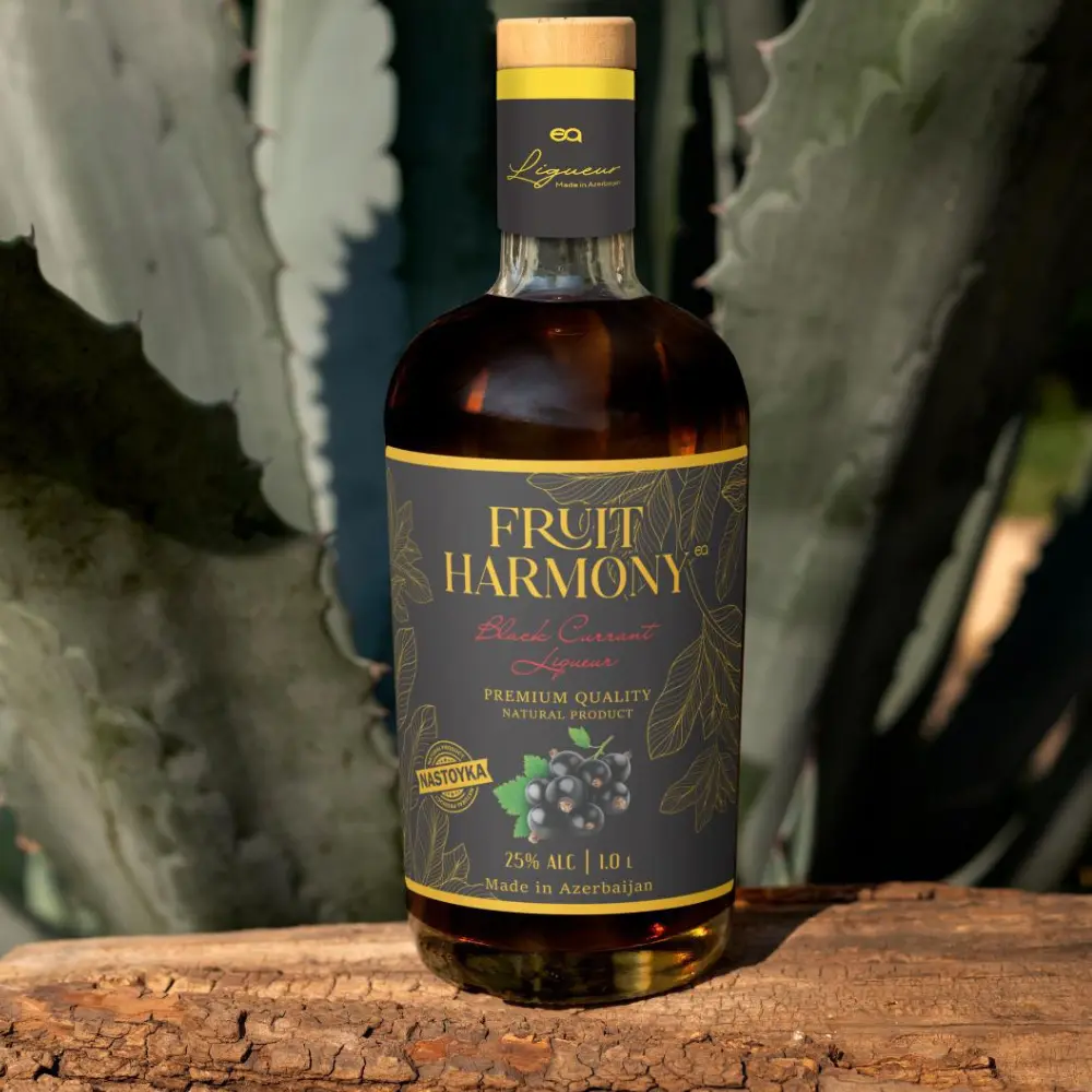 Qara qarağat Nastoykası