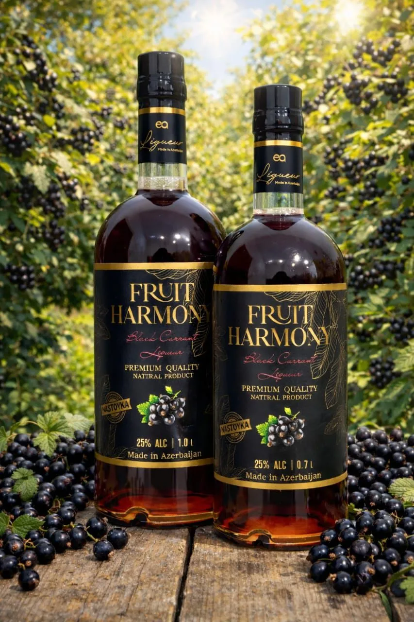 Qara qarağat Nastoykası